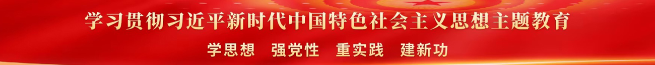 学习贯彻习近平新时代中国特色社会主义思想主题教育