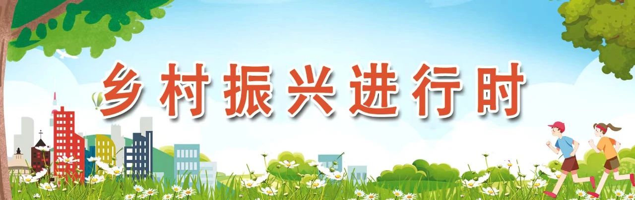 “香”承百年！看长乐这朵花是如何开出“真金白银”的……
