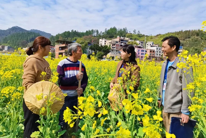 当“三资”遇上大数据，这里的监督有“智慧”