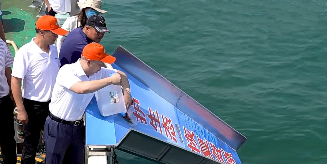 关注！事关长乐这一名贵贝类！