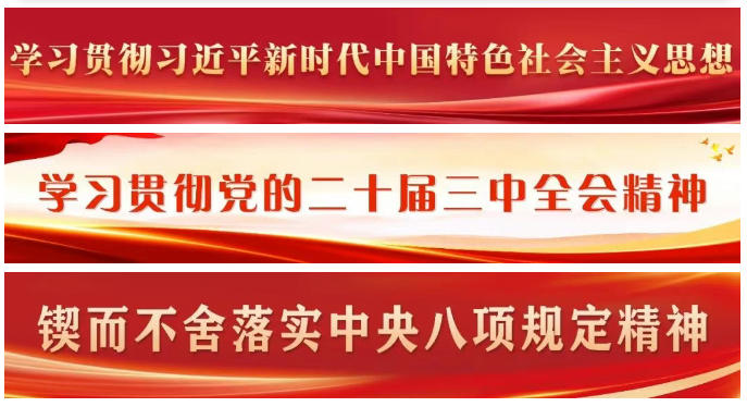 区政府党组会议和常务会议召开
