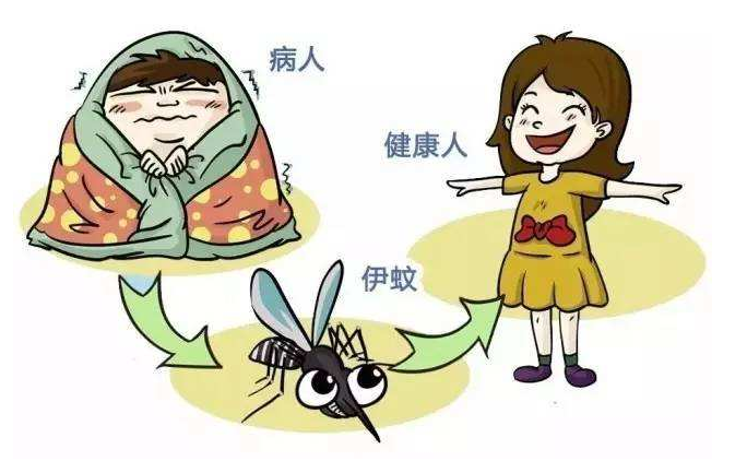 夏季高发！区疾控中心紧急提醒！