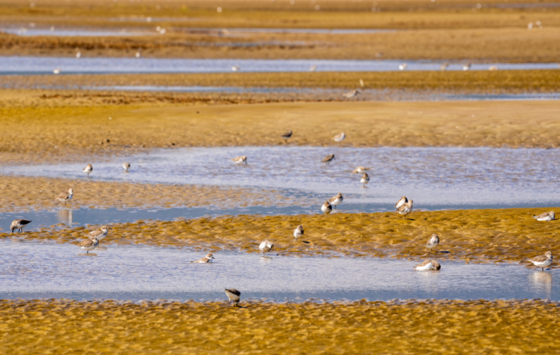 乐享生态红利！与长乐共赴一场追青逐绿之旅