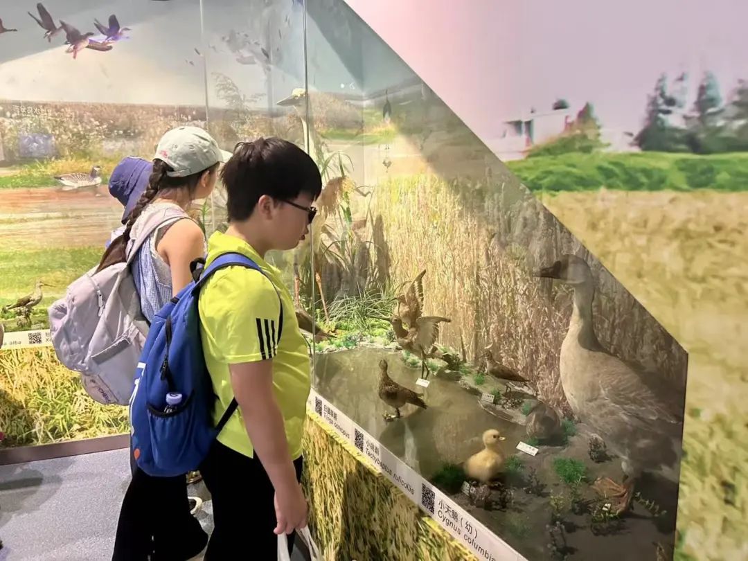 出发！“小卫士”闯湿地：解锁一场奇妙之旅