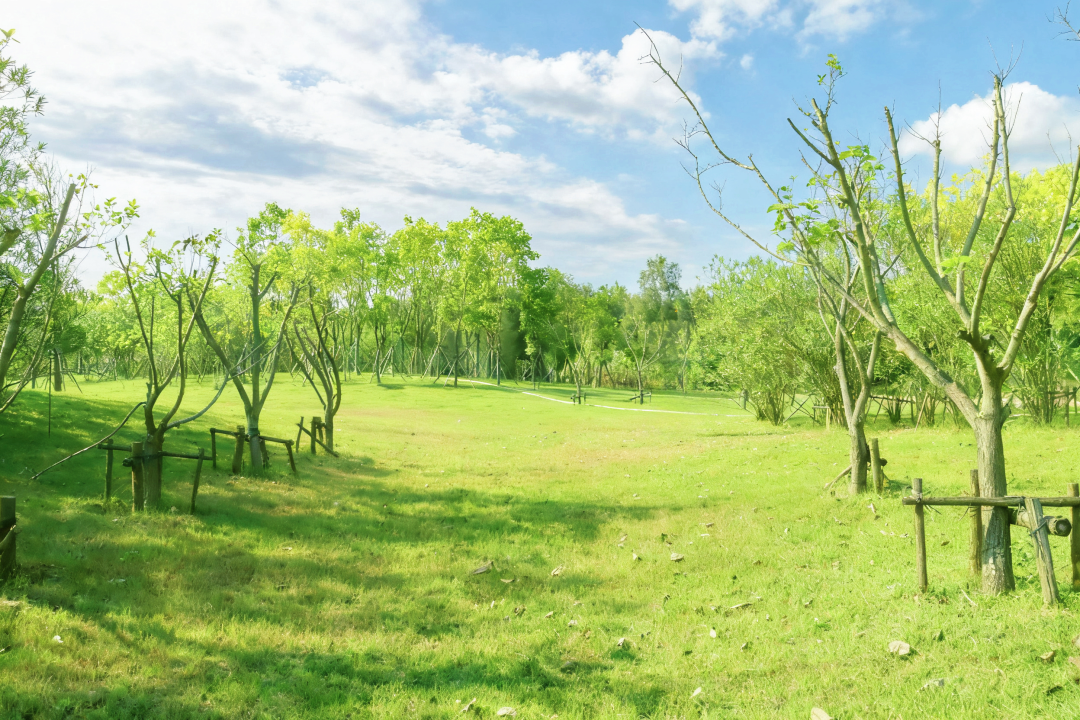 是西湖公园的7.3倍大！福州新区（长乐区）将添新公园