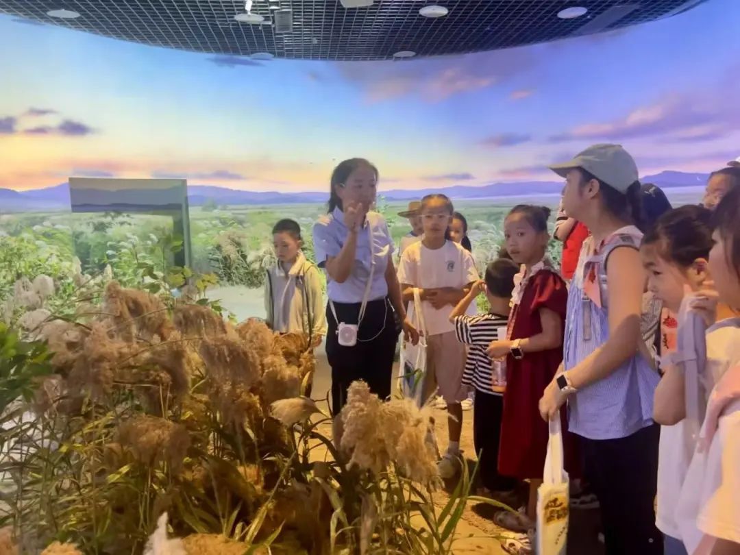 出发！“小卫士”闯湿地：解锁一场奇妙之旅