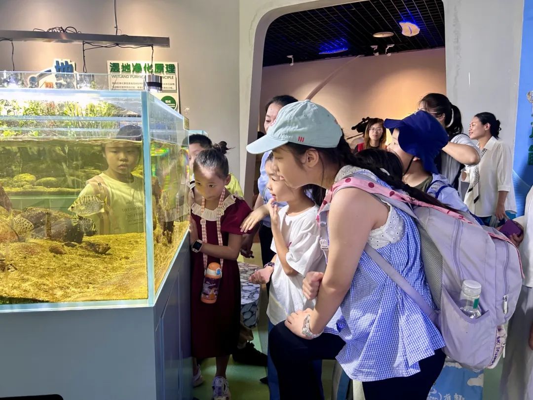 出发！“小卫士”闯湿地：解锁一场奇妙之旅