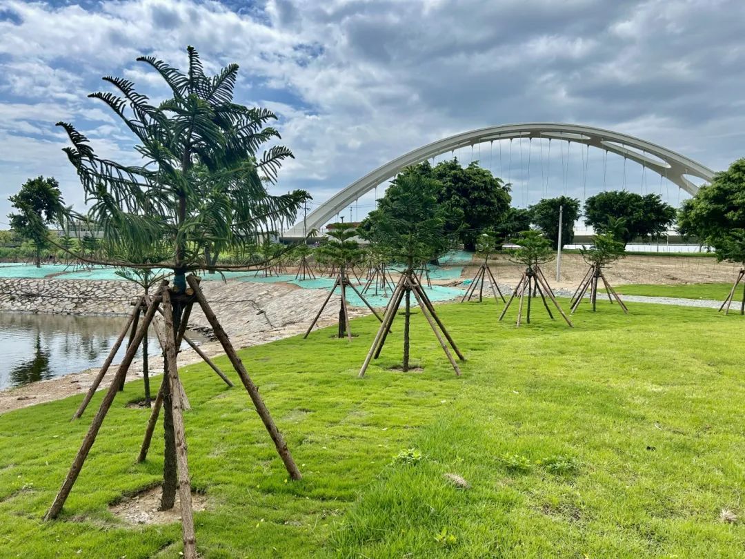 80%进度达成！热带绿植+特色夜市，福州新区（长乐区）又有新去处……