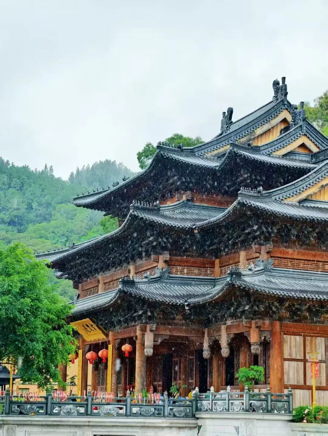 搭上滨海快线，解锁文岭慢生活