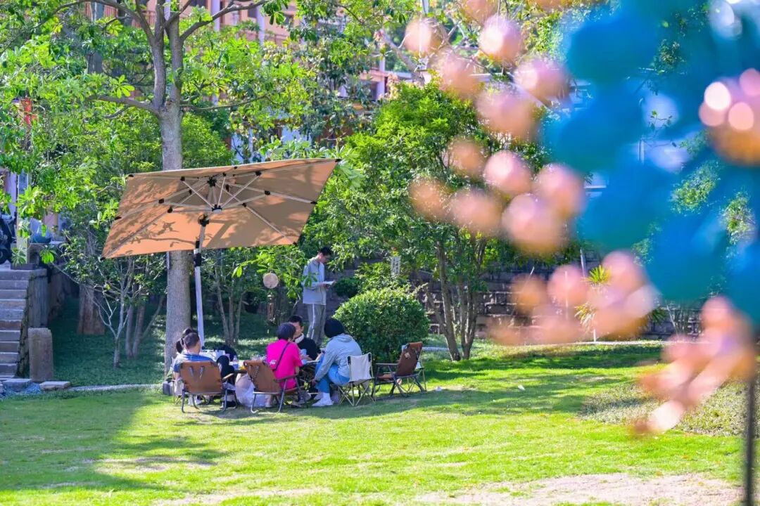 搭上滨海快线，解锁文岭慢生活