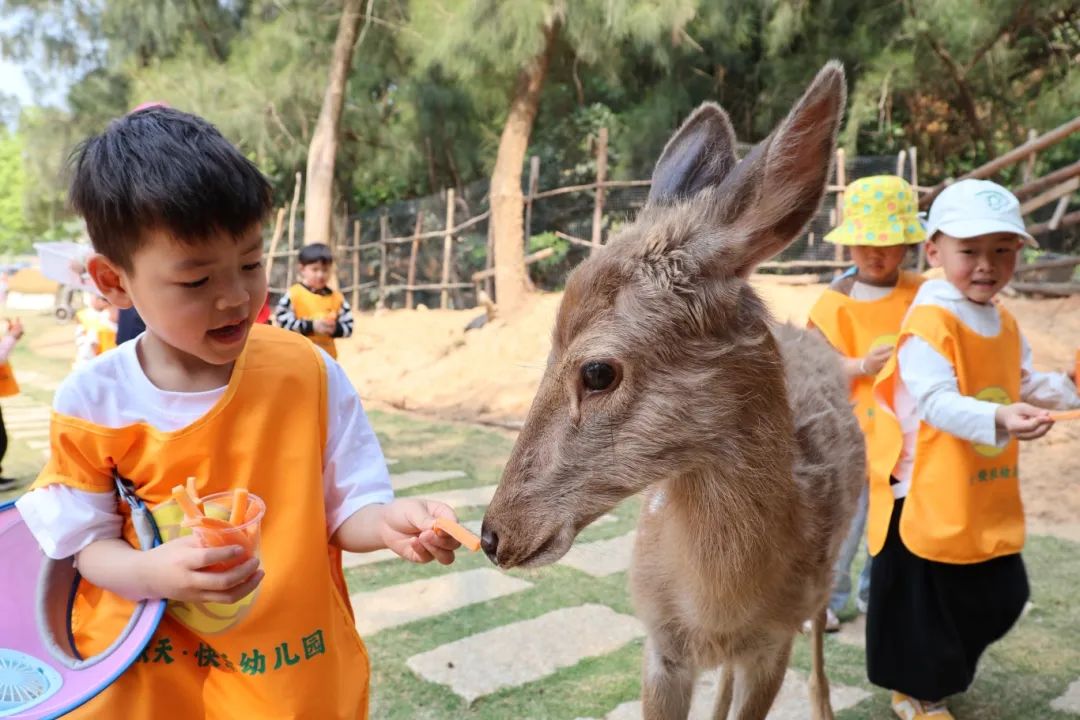 搭上滨海快线，解锁文岭慢生活