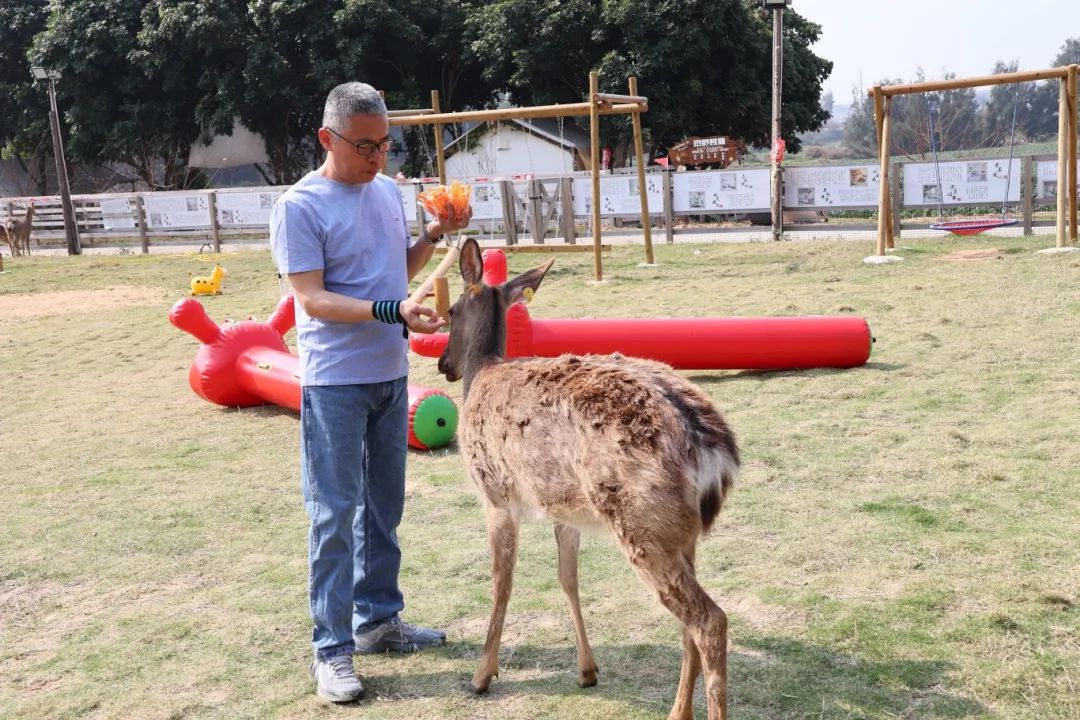 搭上滨海快线，解锁文岭慢生活
