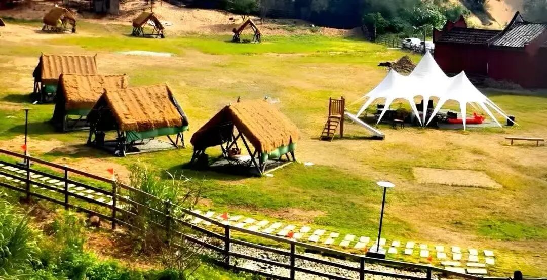 搭上滨海快线，解锁文岭慢生活