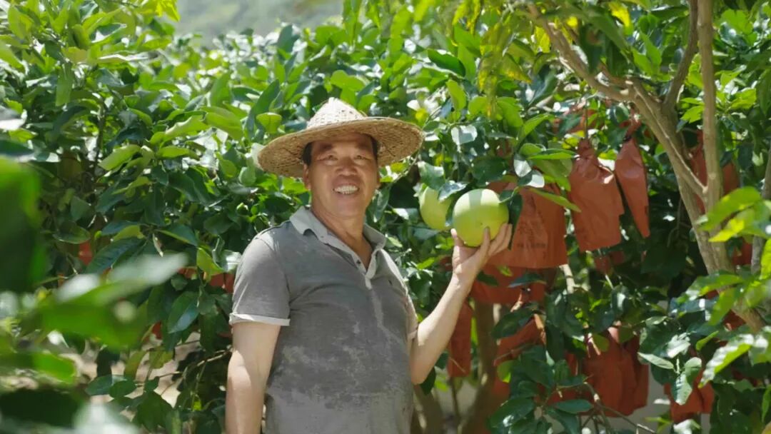 生态兴旅、文化出圈!福州新区(长乐区)这个街道亮了! 生态兴旅、文化出圈!福州新区(长乐区)这个街道亮了!