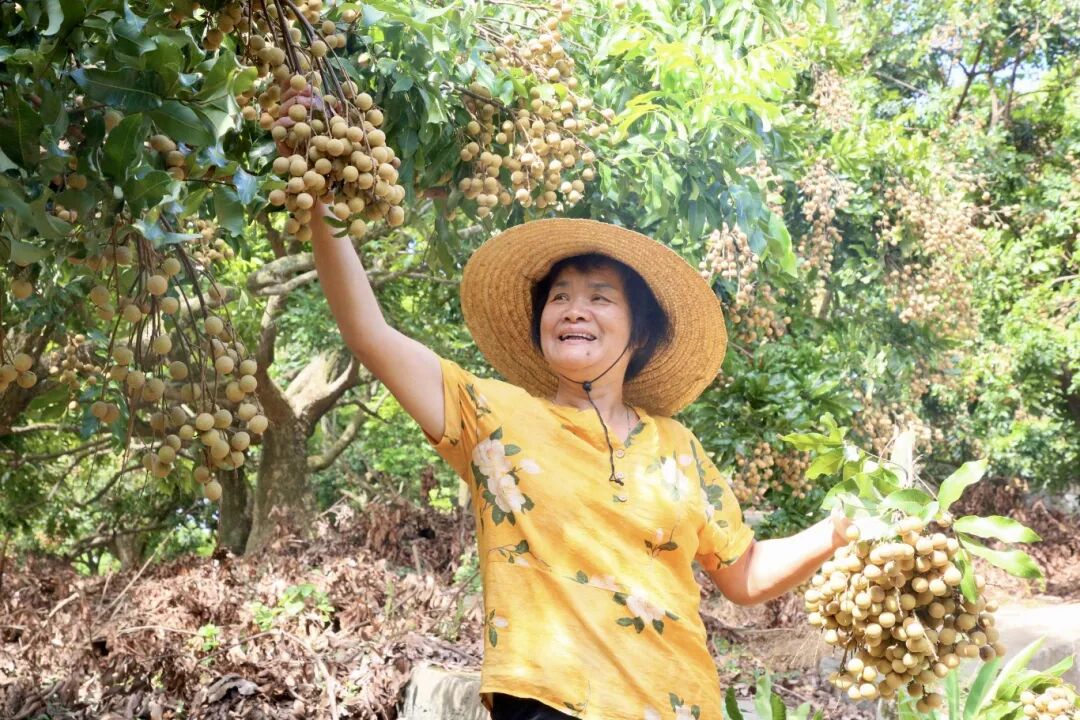 火了！正在热卖！今天带你现场直击→