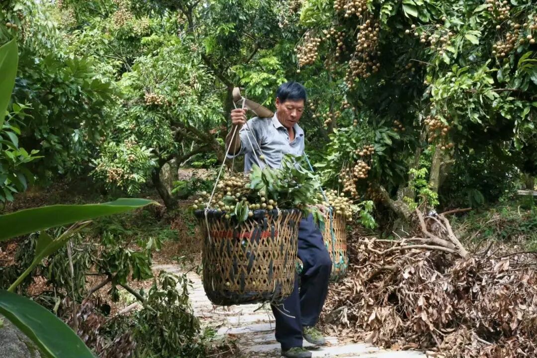 火了！正在热卖！今天带你现场直击→