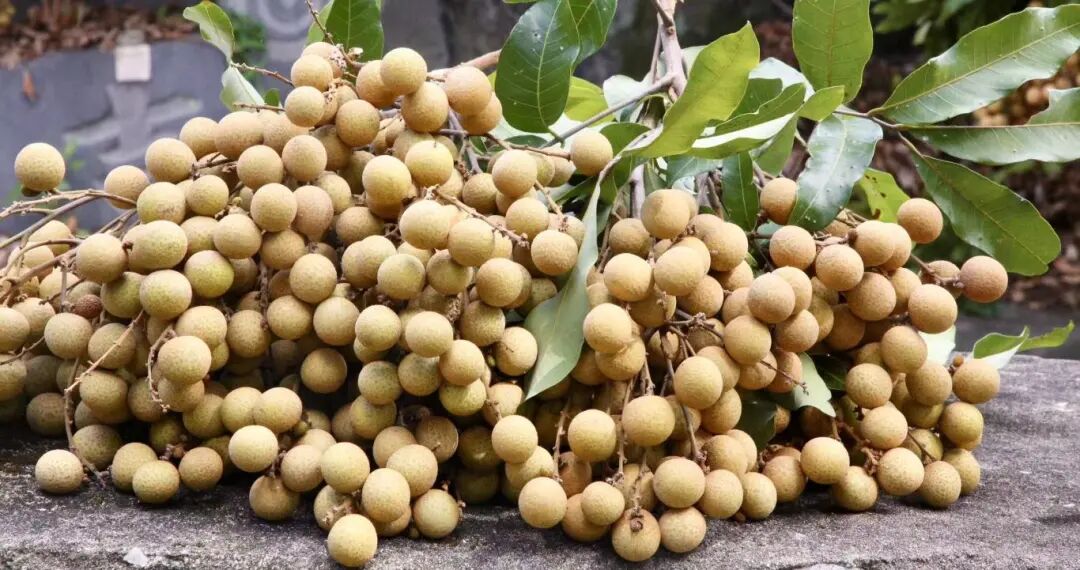 火了！正在热卖！今天带你现场直击→