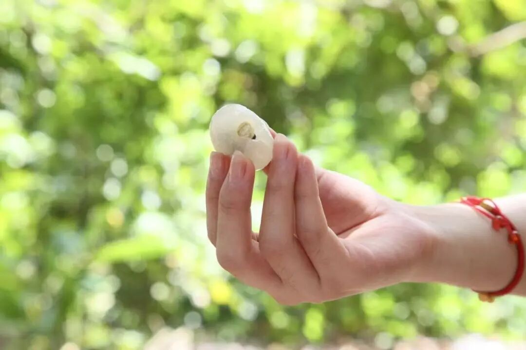 火了！正在热卖！今天带你现场直击→