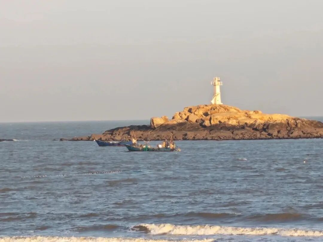 搭上滨海快线，解锁文岭慢生活