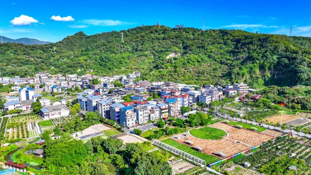 省级示范村！农业+旅游+研学，快来打卡→