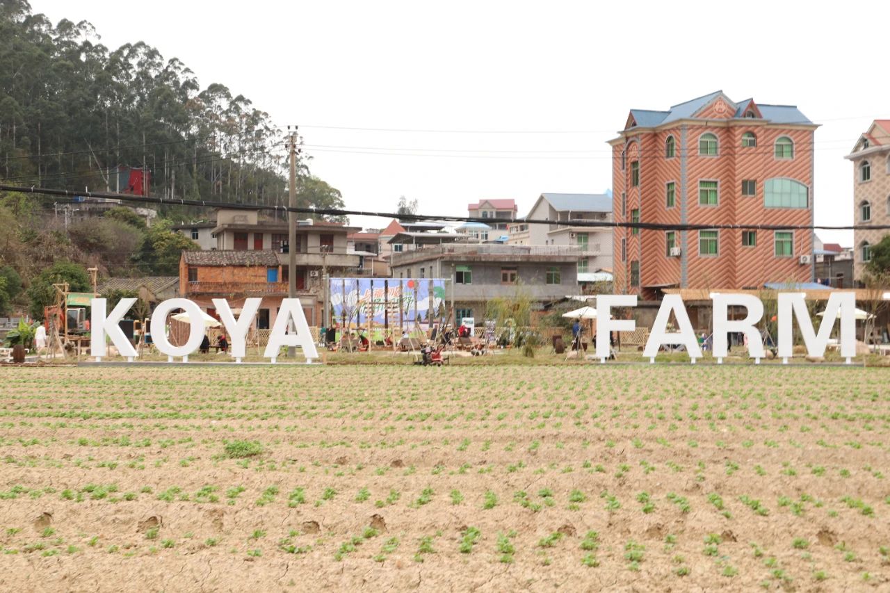 “沉睡”侨屋活了!“空心”村子火了! “沉睡”侨屋活了!“空心”村子火了!