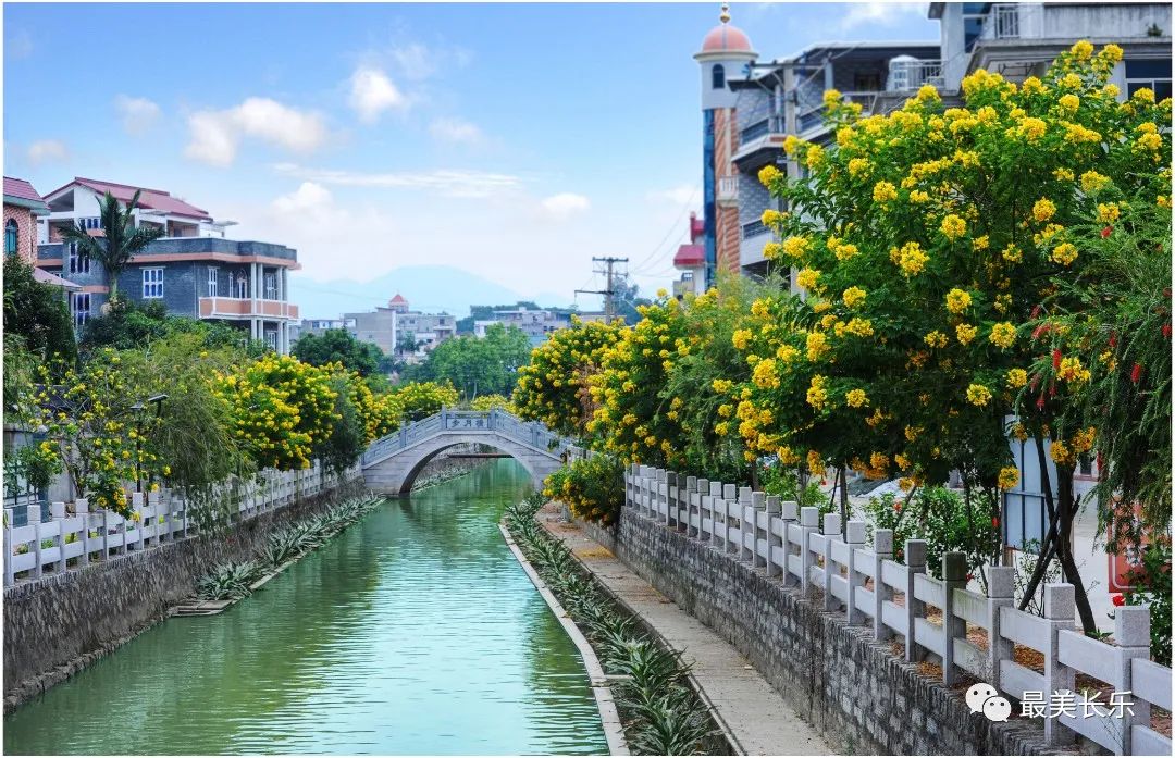 “沉睡”侨屋活了!“空心”村子火了! “沉睡”侨屋活了!“空心”村子火了!
