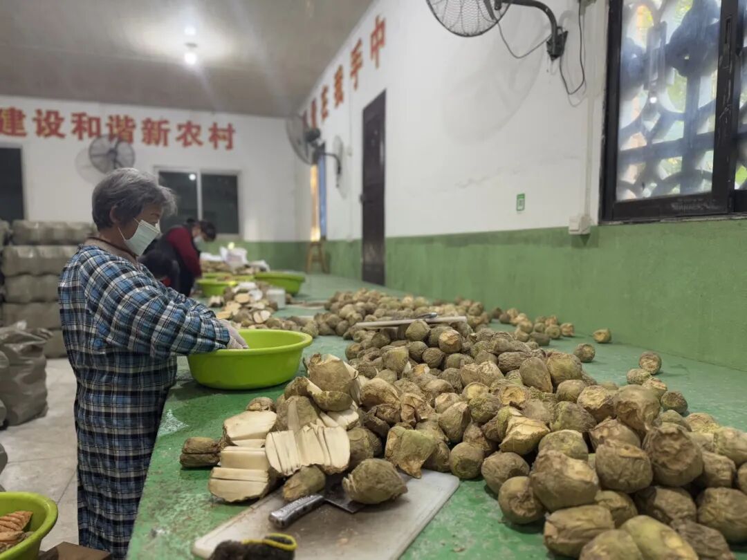 省级示范村！农业+旅游+研学，快来打卡→