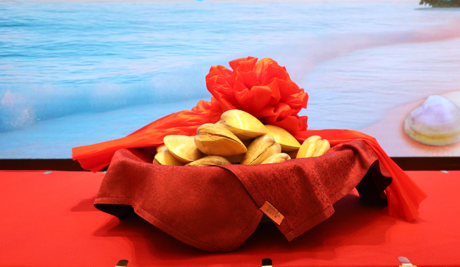 正式签约！事关长乐漳港海蚌！