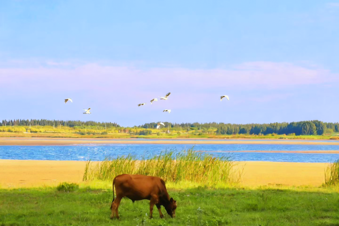 是西湖公园的7.3倍大!福州新区(长乐区)将添新公园 是西湖公园的7.3倍大!福州新区(长乐区)将添新公园