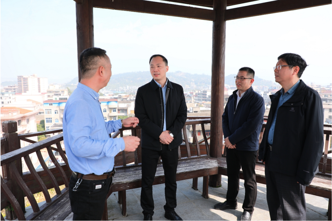 区领导调研乡村振兴工作