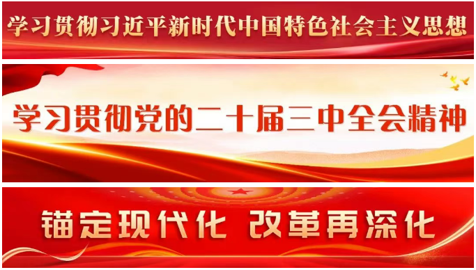 区领导调研镇村有关工作