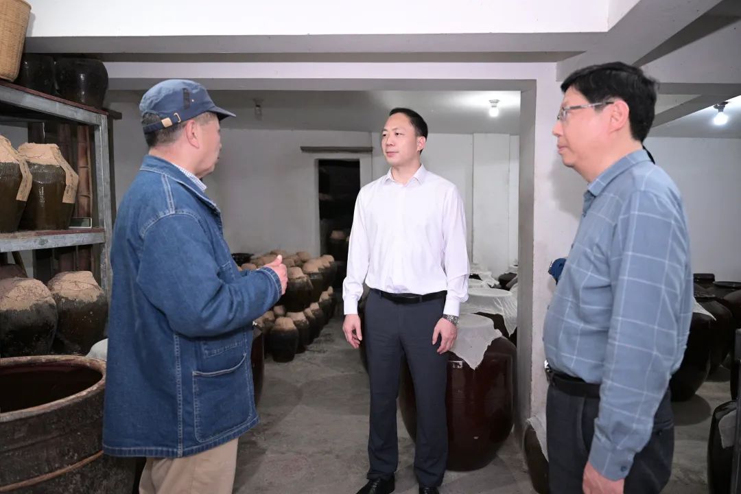 区领导调研镇村有关工作