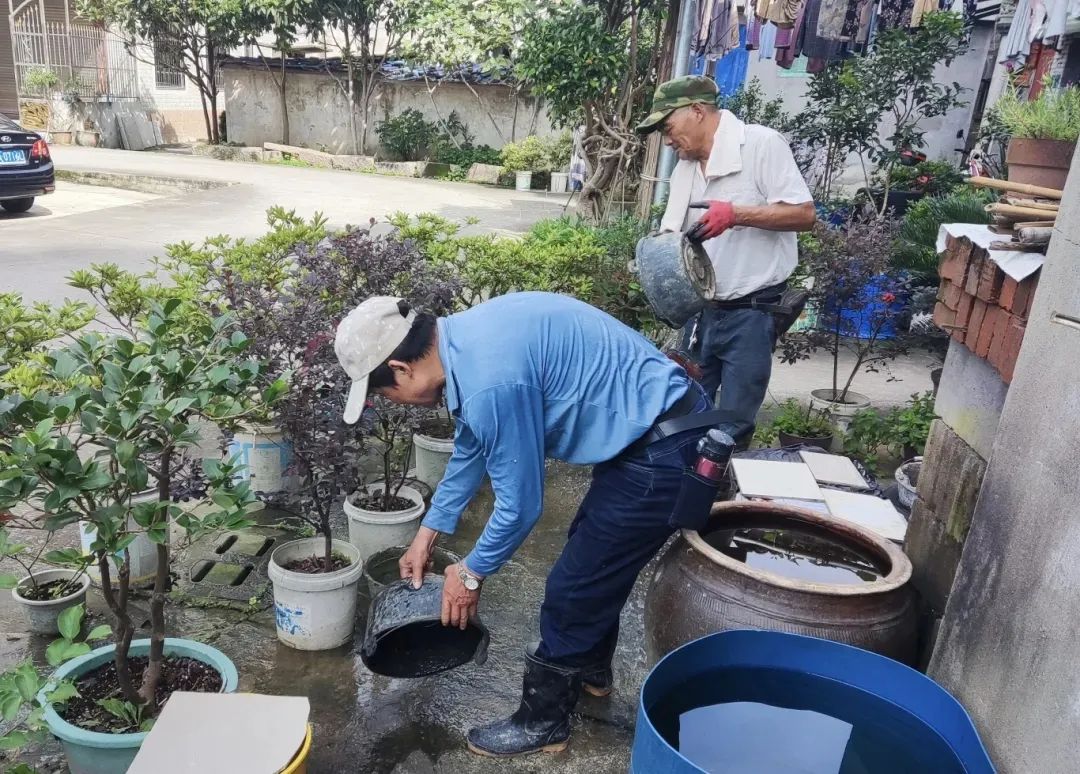 统一行动！涉及长乐15个社区！