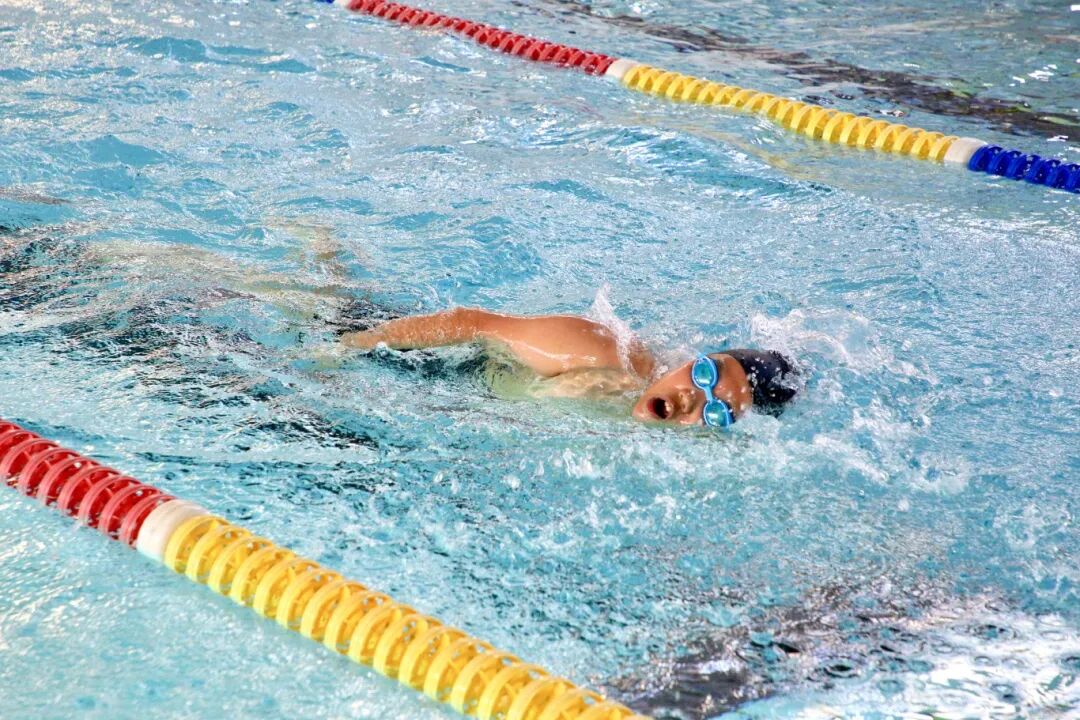 燃!300 余名学生泳池竞速! 燃!300 余名学生泳池竞速!