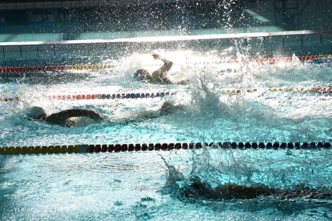 燃!300 余名学生泳池竞速! 燃!300 余名学生泳池竞速!