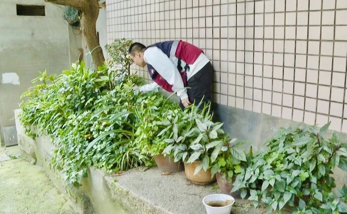 雨后48小时很关键！长乐人快自查，这些积水要立刻清！
