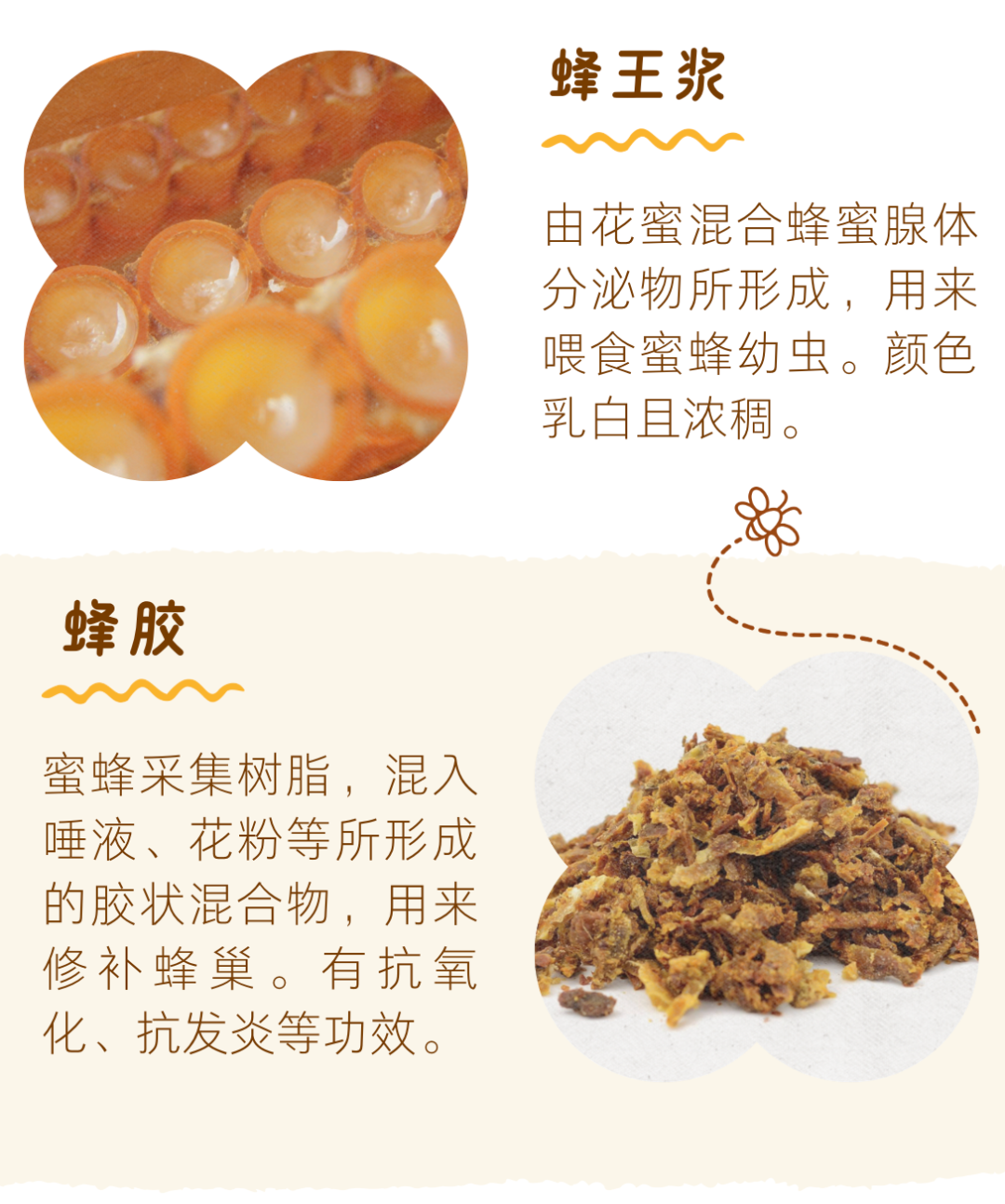 图片10