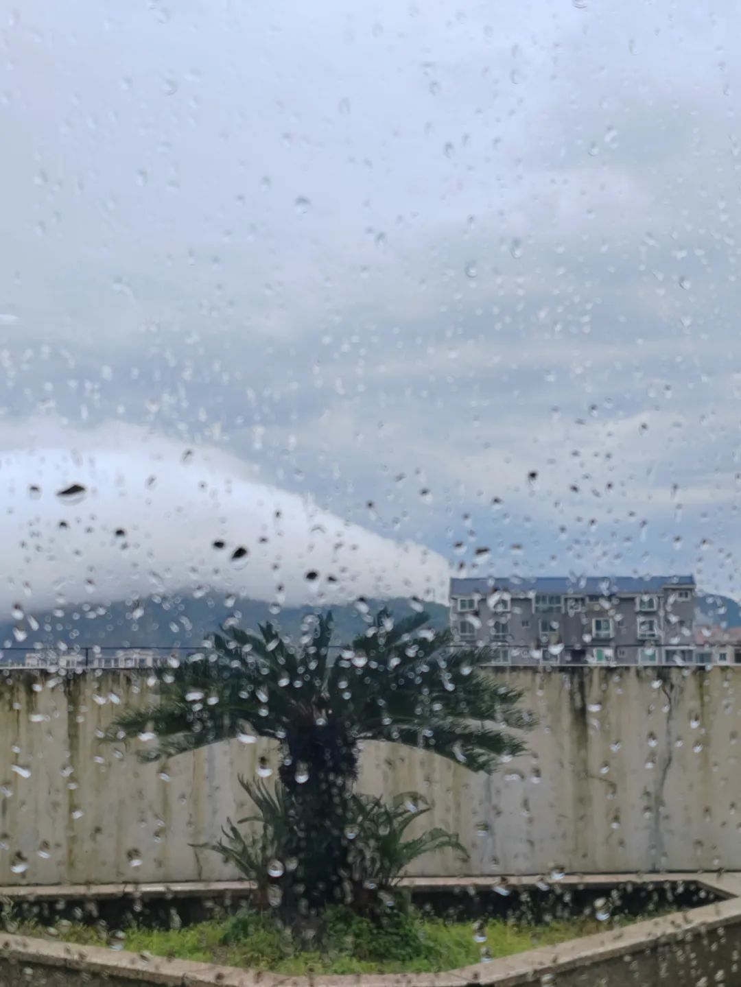@长乐人 双预警!强降雨+强对流马上抵达! @长乐人 双预警!强降雨+强对流马上抵达!
